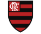 Flamengo Academy logo