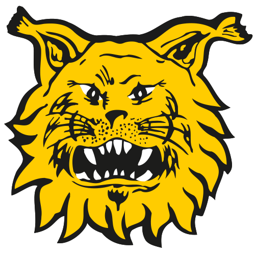home team logo