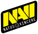 Natus Vincere Junior logo