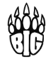 BIG Academy logo